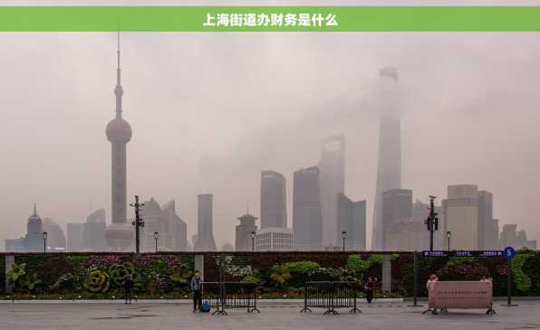 上海街道办财务是什么