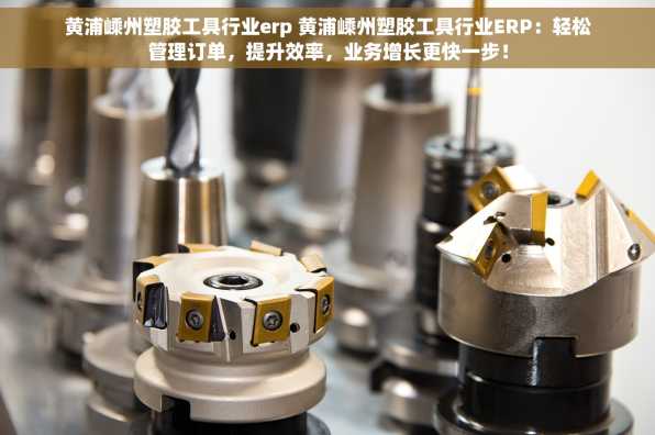 黄浦嵊州塑胶工具行业erp 黄浦嵊州塑胶工具行业ERP：轻松管理订单，提升效率，业务增长更快一步！