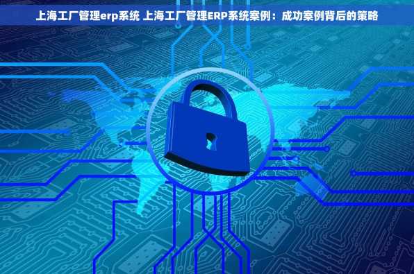 上海工厂管理erp系统 上海工厂管理ERP系统案例：成功案例背后的策略