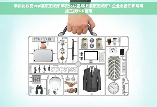 奉贤化妆品erp哪家正规好 奉贤化妆品ERP哪家正规好？企业必备知识与寻找正规ERP指南