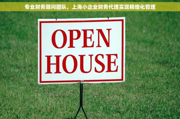 专业财务顾问团队，上海小企业财务代理实现精细化管理
