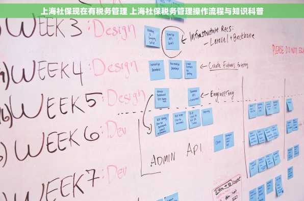 上海社保现在有税务管理 上海社保税务管理操作流程与知识科普