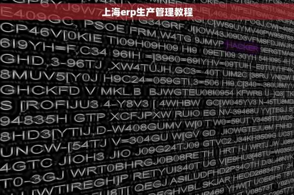上海erp生产管理教程