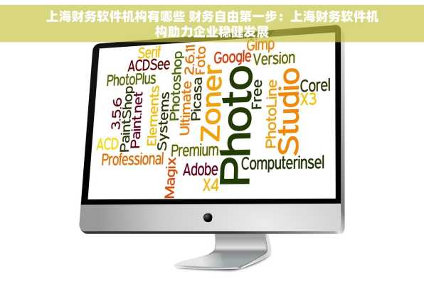 上海财务软件机构有哪些 财务自由第一步：上海财务软件机构助力企业稳健发展