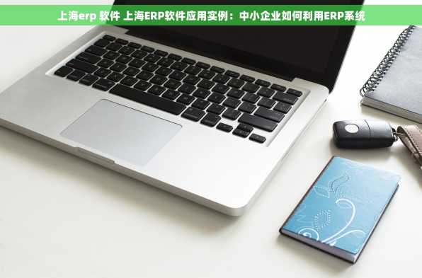 上海erp 软件 上海ERP软件应用实例：中小企业如何利用ERP系统