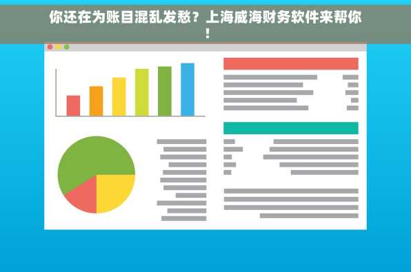 你还在为账目混乱发愁？上海威海财务软件来帮你！