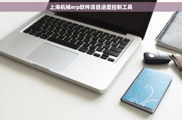 上海机械erp软件项目进度控制工具