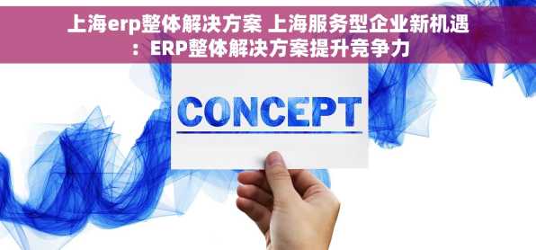 上海erp整体解决方案 上海服务型企业新机遇：ERP整体解决方案提升竞争力