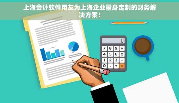 上海会计软件用友为上海企业量身定制的财务解决方案！