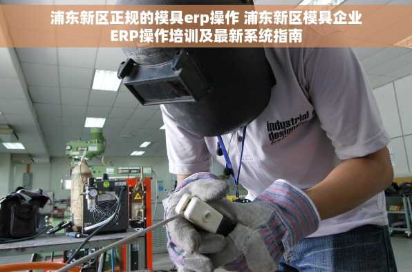 浦东新区正规的模具erp操作 浦东新区模具企业ERP操作培训及最新系统指南