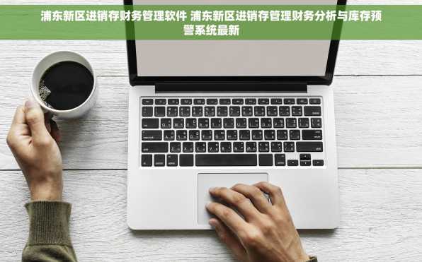 浦东新区进销存财务管理软件 浦东新区进销存管理财务分析与库存预警系统最新
