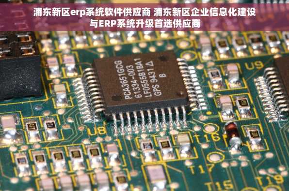 浦东新区erp系统软件供应商 浦东新区企业信息化建设与ERP系统升级首选供应商