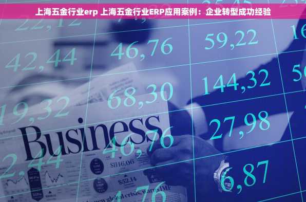 上海五金行业erp 上海五金行业ERP应用案例：企业转型成功经验
