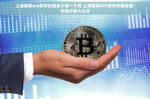 上海模具erp软件价格多少钱一个月 上海模具ERP软件价格调查：市场行情大公开