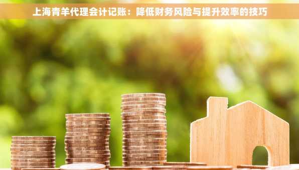 上海青羊代理会计记账：降低财务风险与提升效率的技巧