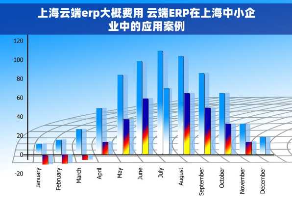 上海云端erp大概费用 云端ERP在上海中小企业中的应用案例