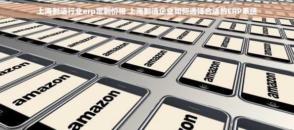 上海制造行业erp定制价格 上海制造企业如何选择合适的ERP系统