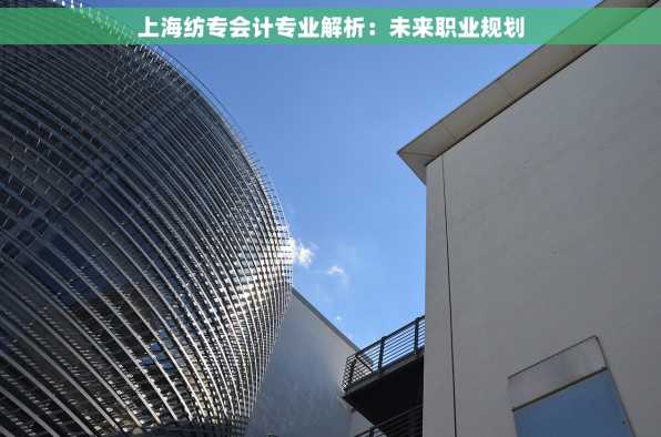 上海纺专会计专业解析：未来职业规划