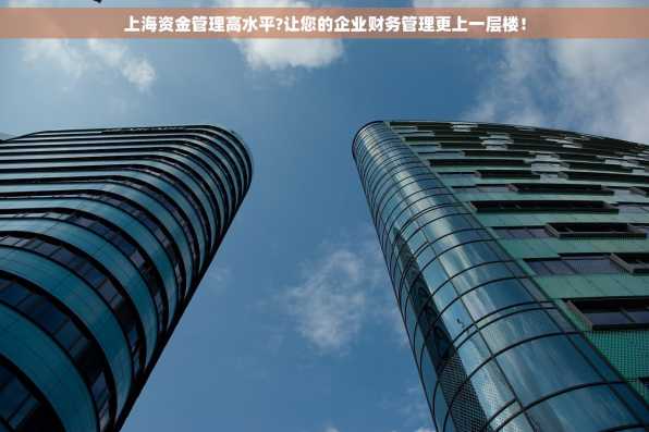 上海资金管理高水平?让您的企业财务管理更上一层楼！
