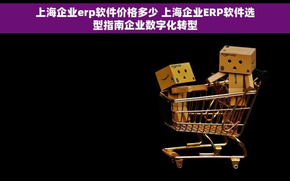 上海企业erp软件价格多少 上海企业ERP软件选型指南企业数字化转型