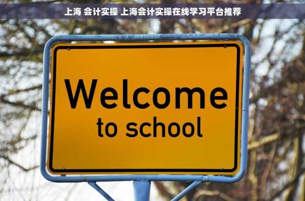 上海 会计实操 上海会计实操在线学习平台推荐
