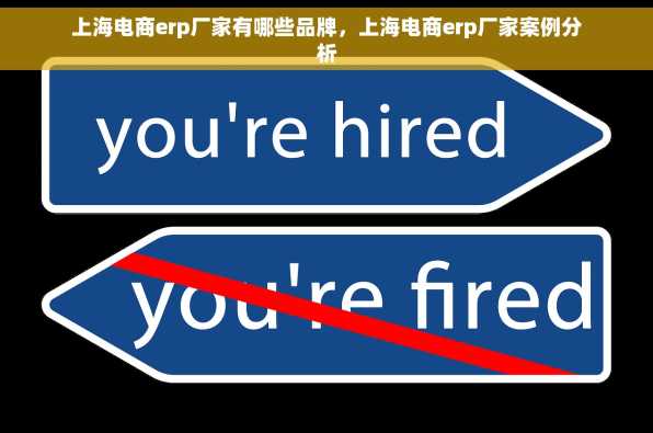上海电商erp厂家有哪些品牌，上海电商erp厂家案例分析