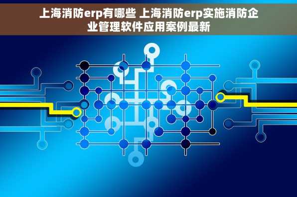 上海消防erp有哪些 上海消防erp实施消防企业管理软件应用案例最新
