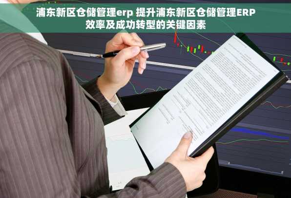 浦东新区仓储管理erp 提升浦东新区仓储管理ERP效率及成功转型的关键因素