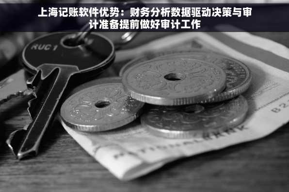 上海记账软件优势：财务分析数据驱动决策与审计准备提前做好审计工作