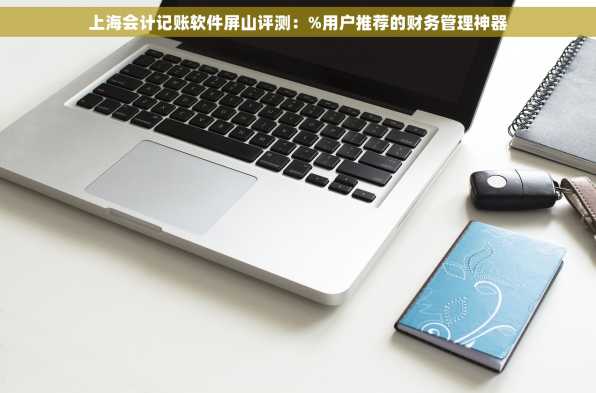 上海会计记账软件屏山评测：%用户推荐的财务管理神器