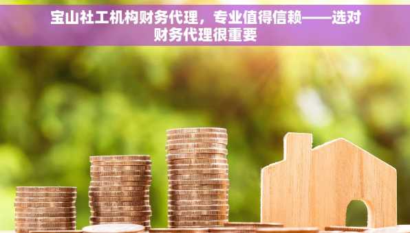 宝山社工机构财务代理，专业值得信赖——选对财务代理很重要