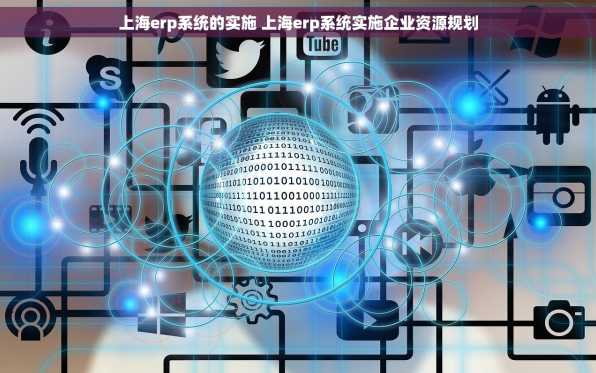 上海erp系统的实施 上海erp系统实施企业资源规划