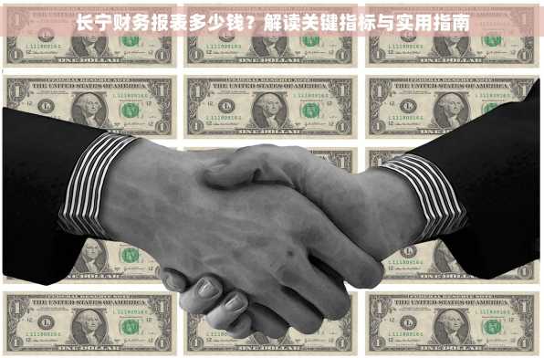 长宁财务报表多少钱？解读关键指标与实用指南