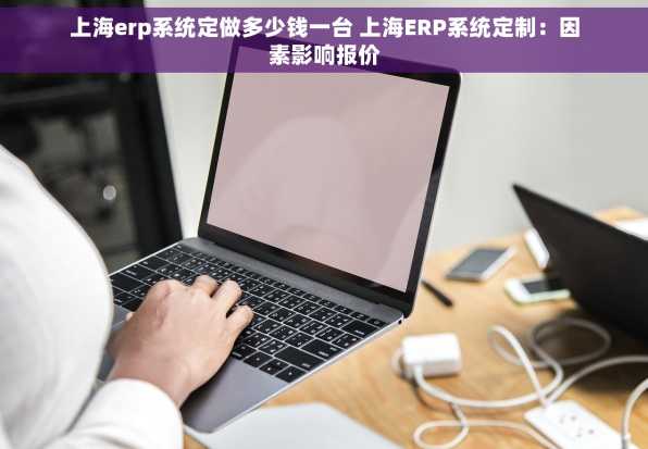 上海erp系统定做多少钱一台 上海ERP系统定制：因素影响报价