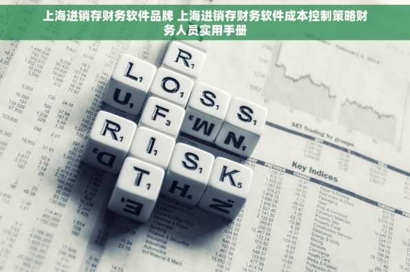 上海进销存财务软件品牌 上海进销存财务软件成本控制策略财务人员实用手册