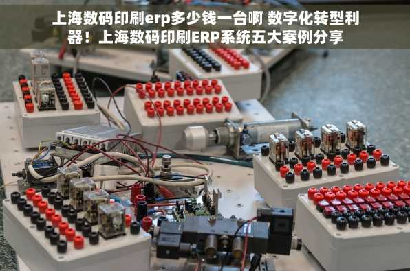 上海数码印刷erp多少钱一台啊 数字化转型利器！上海数码印刷ERP系统五大案例分享