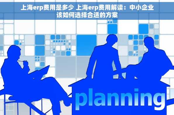 上海erp费用是多少 上海erp费用解读：中小企业该如何选择合适的方案