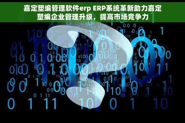 嘉定塑编管理软件erp ERP系统革新助力嘉定塑编企业管理升级，提高市场竞争力