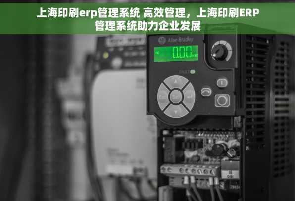 上海印刷erp管理系统 高效管理，上海印刷ERP管理系统助力企业发展