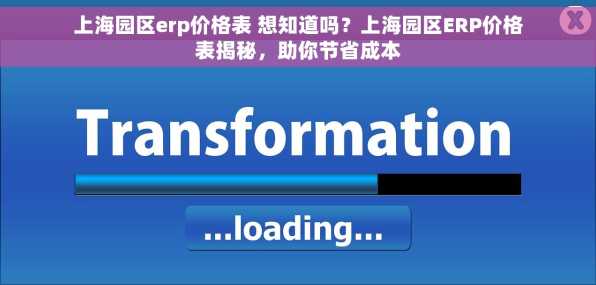上海园区erp价格表 想知道吗？上海园区ERP价格表揭秘，助你节省成本