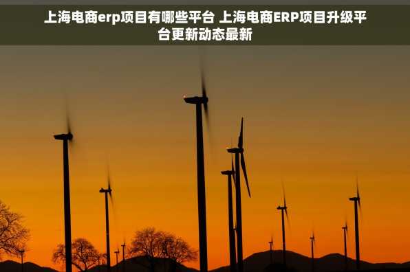 上海电商erp项目有哪些平台 上海电商ERP项目升级平台更新动态最新