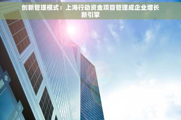 创新管理模式：上海行动资金项目管理成企业增长新引擎