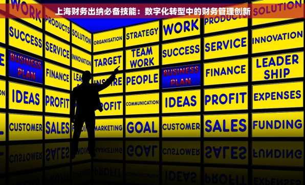 上海财务出纳必备技能：数字化转型中的财务管理创新