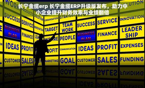 长宁金缆erp 长宁金缆ERP升级版发布，助力中小企业提升财务效率与业绩翻倍