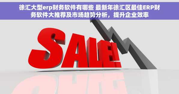 徐汇大型erp财务软件有哪些 最新年徐汇区最佳ERP财务软件大推荐及市场趋势分析，提升企业效率