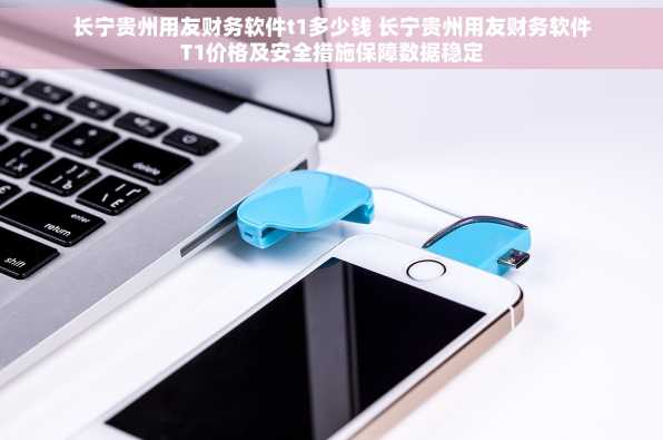 长宁贵州用友财务软件t1多少钱 长宁贵州用友财务软件T1价格及安全措施保障数据稳定