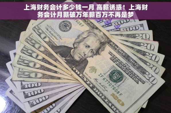 上海财务会计多少钱一月 高薪诱惑！上海财务会计月薪破万年薪百万不再是梦