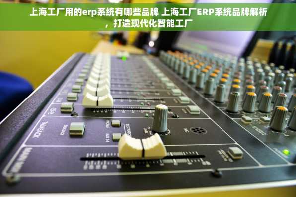 上海工厂用的erp系统有哪些品牌 上海工厂ERP系统品牌解析，打造现代化智能工厂