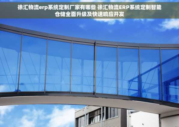 徐汇物流erp系统定制厂家有哪些 徐汇物流ERP系统定制智能仓储全面升级及快速响应开发
