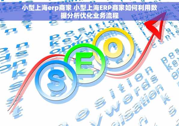 小型上海erp商家 小型上海ERP商家如何利用数据分析优化业务流程